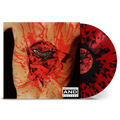 Dismember - Indecent & Obscene